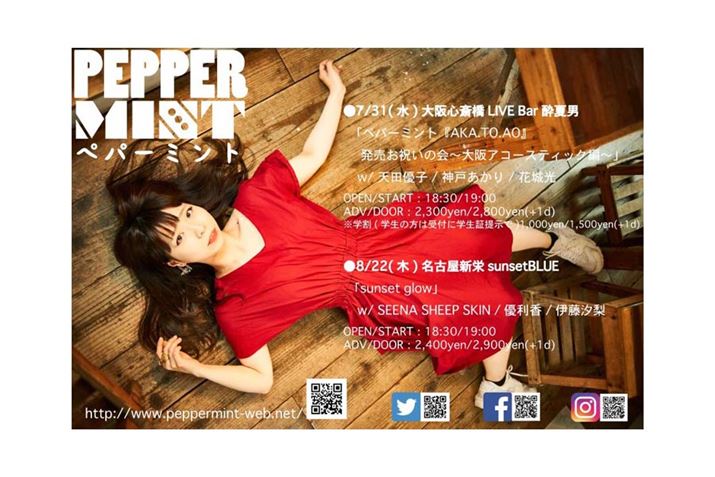 yp[~g񂪋CɓĂꂽJbggptC[