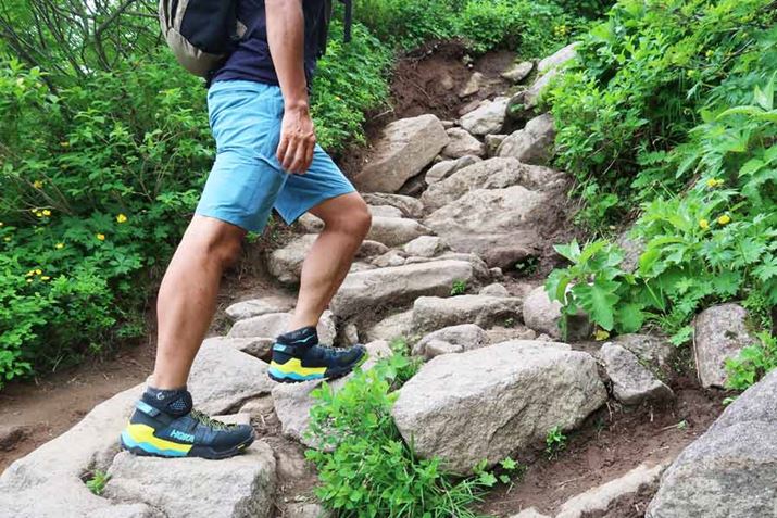 񂪂悭̂ŁAołւ̕SȂAyɓ