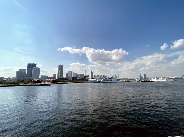 X}[gtH̃JƂĂ͋w̒Lp