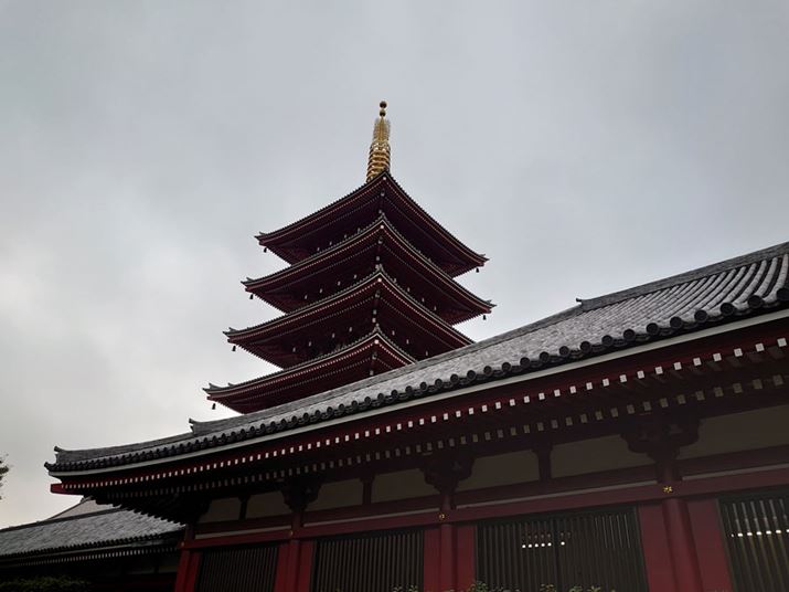 LpJɑ΂Ė1.62{̌wY[ƂȂ