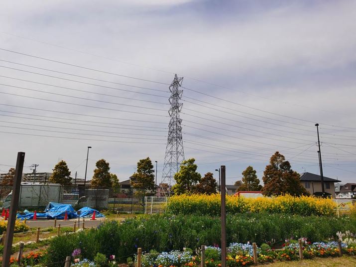 S𒆉ɐiBeB̍\}łS̍וdƉ𑜂Ă