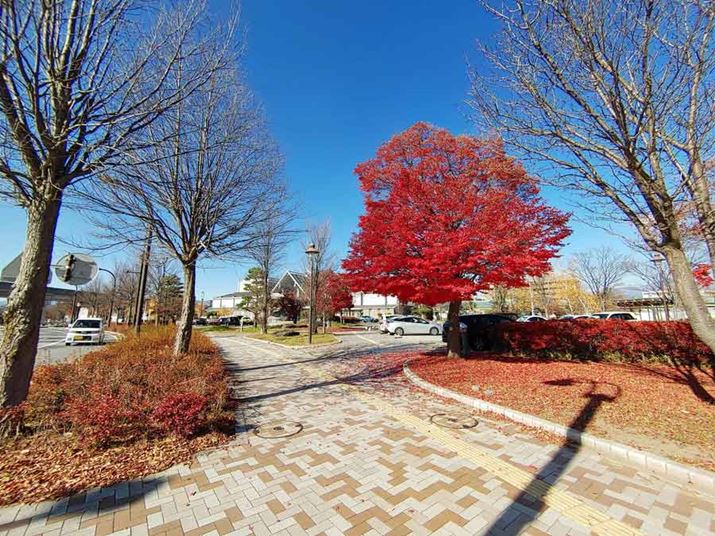 ꏊLpJɐ؂ւĎBe摜Bɂ؂1{O܂ŎʂĂ܂