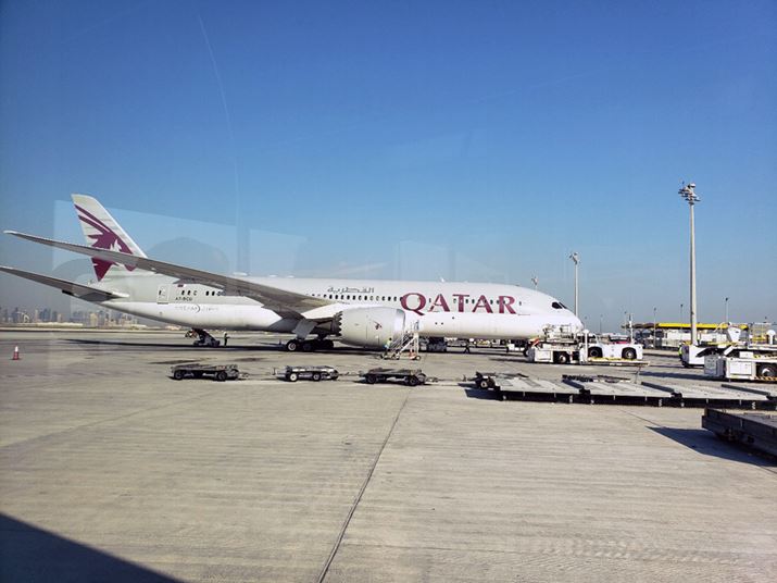 񓋏悵̂̓J^[q̃GRm~[NX̃tCg