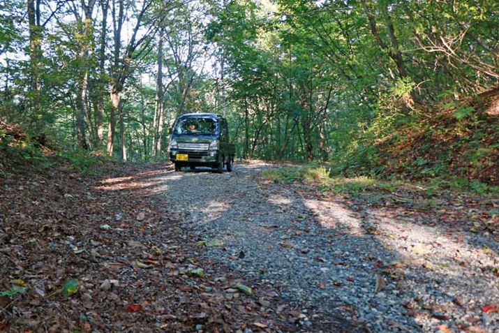 ���X�L�[��ւƌ����������A�o�肪�����r�ꂽ�R�������A�܂��������Ȃ��I