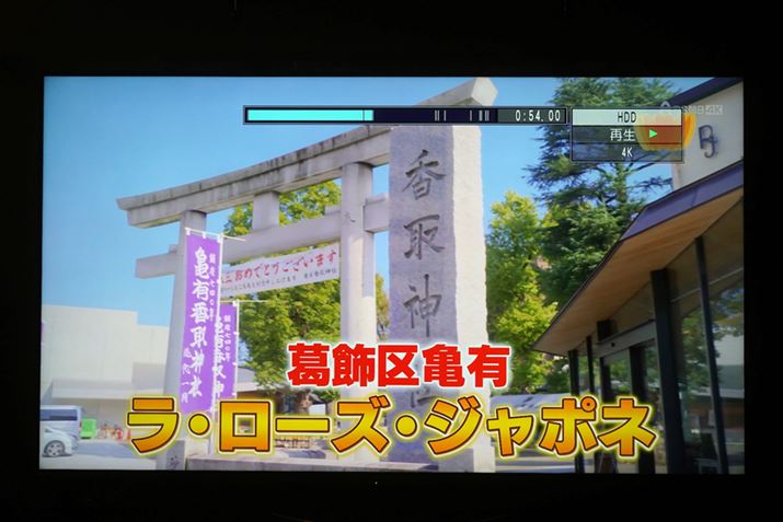 3ЂƂ4K^ł`v^[ɑΉiʐ^̓pi\jbNj