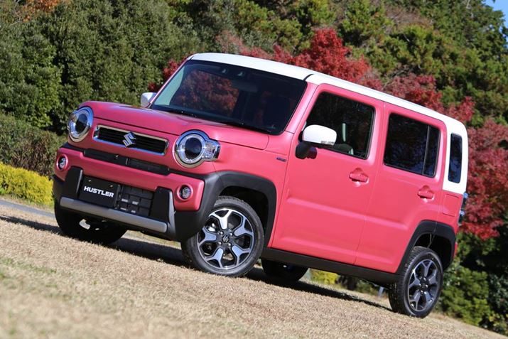 2ڂƂȂXYL V^unX[vA2020N1{ɔ