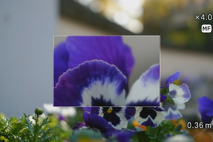 tH[JXs[LOiԁjAPIP̊g\ABe\ݒ肵MFĂۂ̉