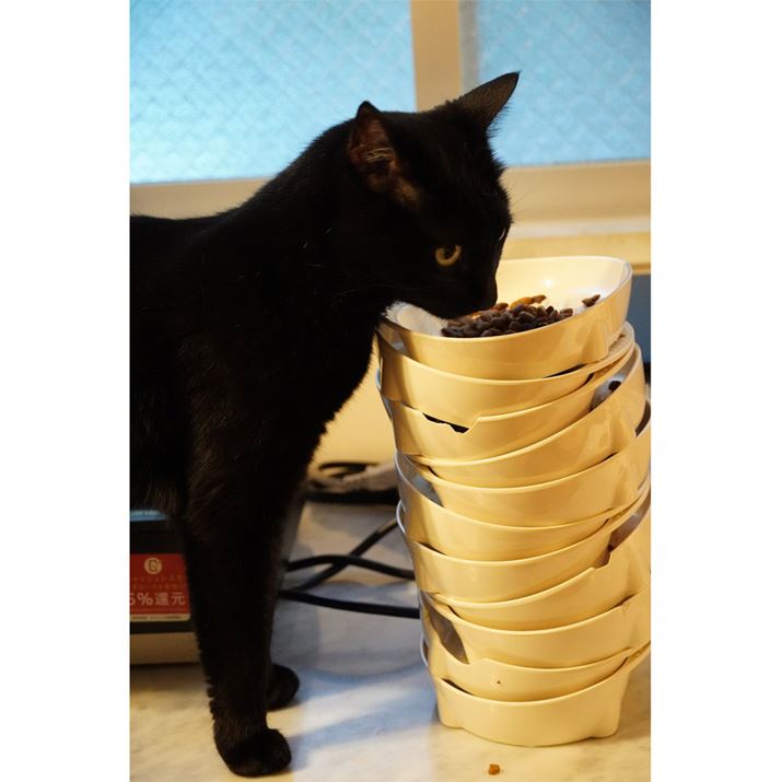 傫Ȏʐ^i6000×4500 pixel 2.1MBj͂