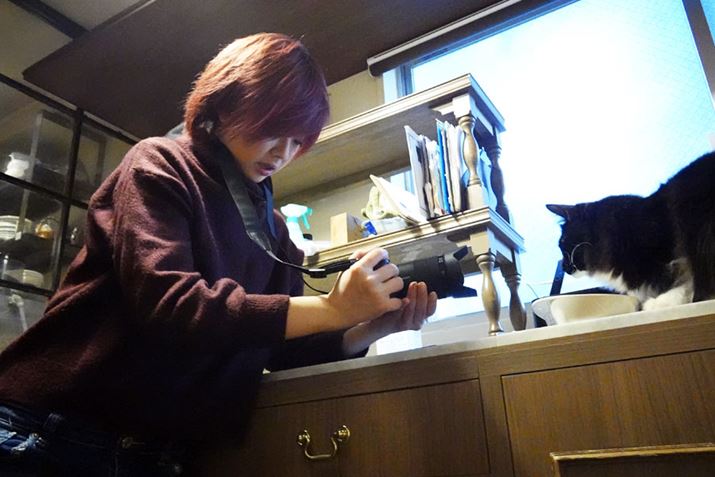 jR̈u𓦂Ảpݒ肵āccVb^[I