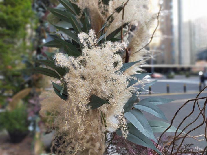 XXL̕ڎʋCŎBeB@ׂȕ̃fBe[LCɎBeł