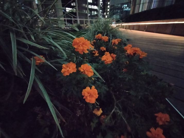 ISO3968܂ŊxAbvBmCY͏ȂAfBe[͖R