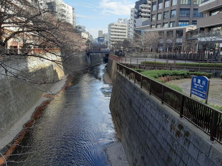 �����̖ڍ���B����̈�ۂɋ߂��d�オ��łȂ��Ȃ��N����