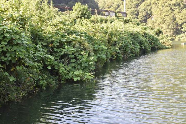 vubVXƑXgb`ŁAɃh}NI