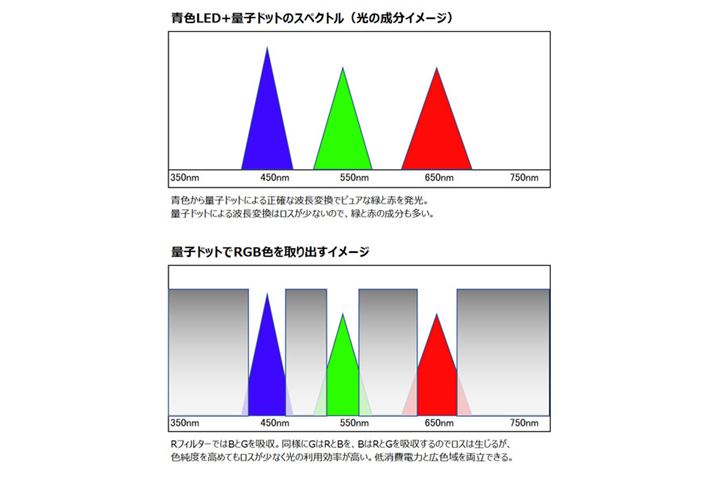 ʎqhbgZpptplRGBFoC[W