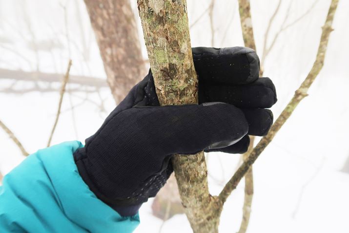 EBht[hԂƂׂ₷Ȃ̂ŁAObv͂߂鎞̓O[u{݂̂̂Ŏgp