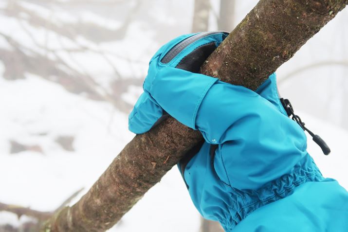 ڈȏɃ\tgȎ̃O[uAvɎ{ꂽ⋭D