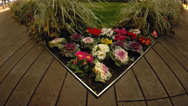 \}𒴍LpJŎBeBʂ͊mۂĂ薾邭ʂĂ邪AfBe[͂ڂƂĂ