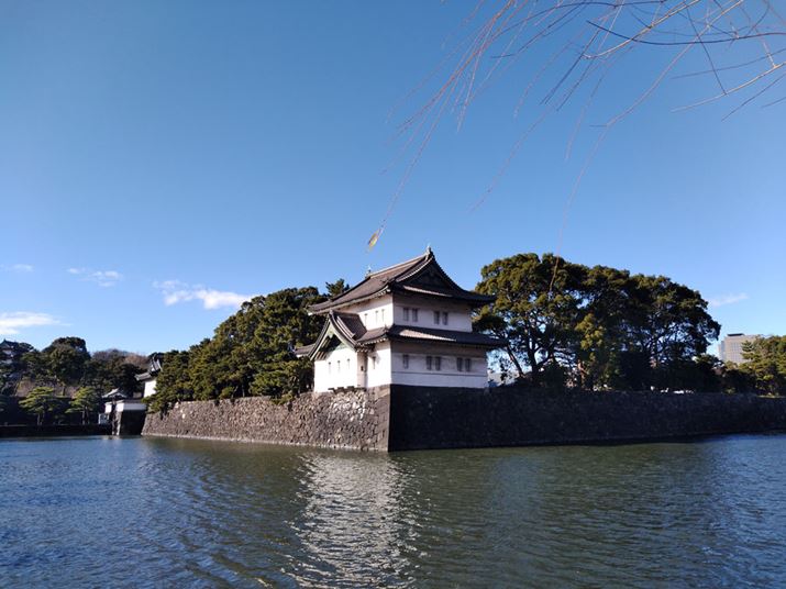 c̒FEBHDRBe@\Ȃ߂Aɖʂ̂тĂ