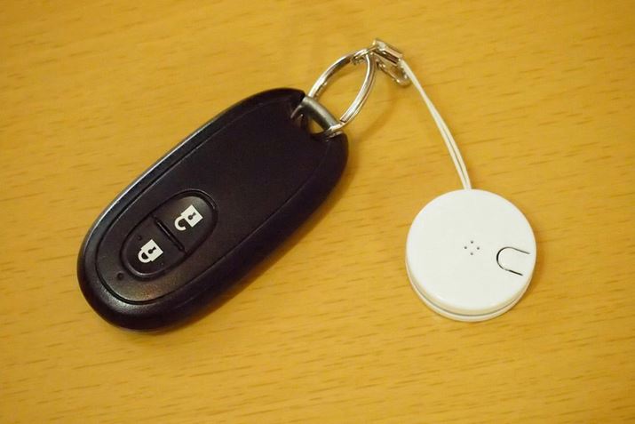 Mґł͂Aԕ₷Ԃ̌ɎtĂ݂܂