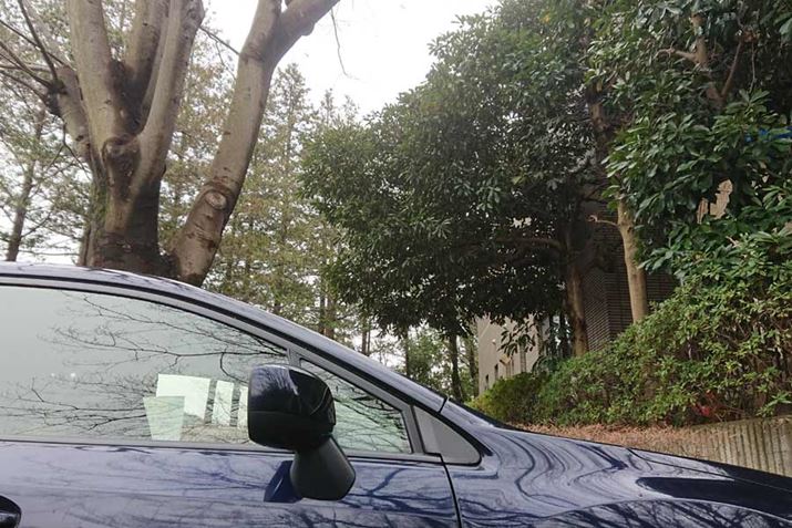 OԏȂǂŎ؂̉ɒ߂Ƃ́AtⒹ̃tȂǂt\܂