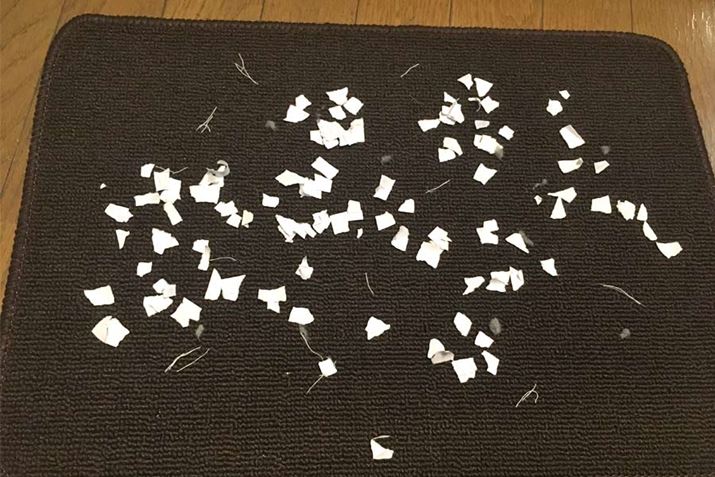 ʂ̎AAzRU΂߂Ă|͂`FbN