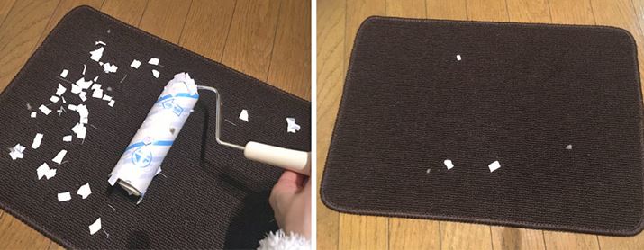 5RR|ʂR`BقƂǂ̃S~܂