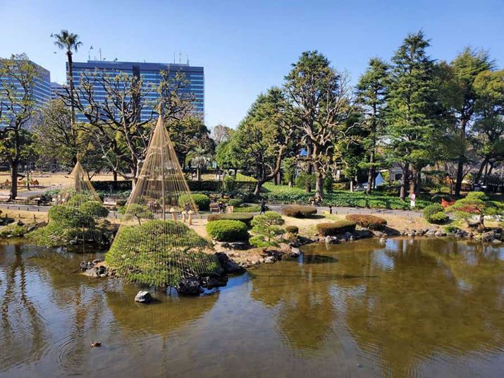 V̓{뉀B{ɂƎӂeȂ邪A͉𑜊\B̊KLC