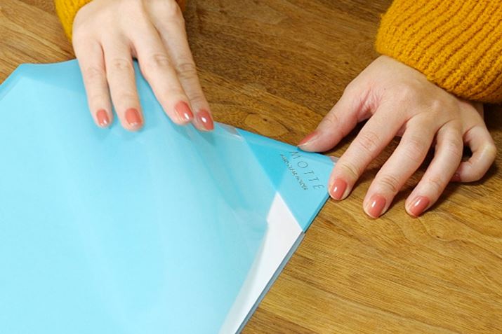 p̃Xgbp[g΁Aނ̂͂ݏo͊mɃK[h