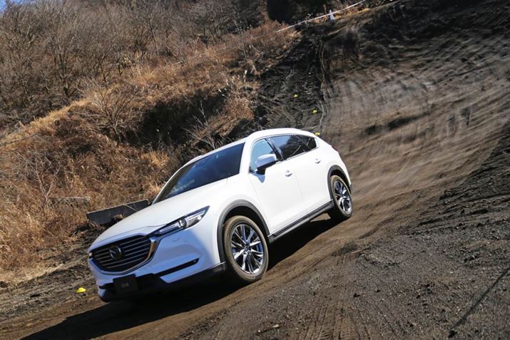 žłĂAuCX-8v̓fB[[Ȃł͂̃gN̑łƓoĂ