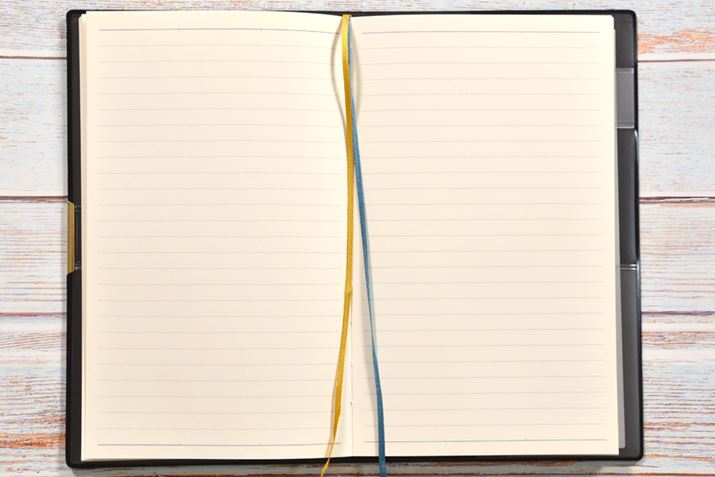 m[gy[W̓VvBuGNXgJvƂ̎g|CgɂȂ肻