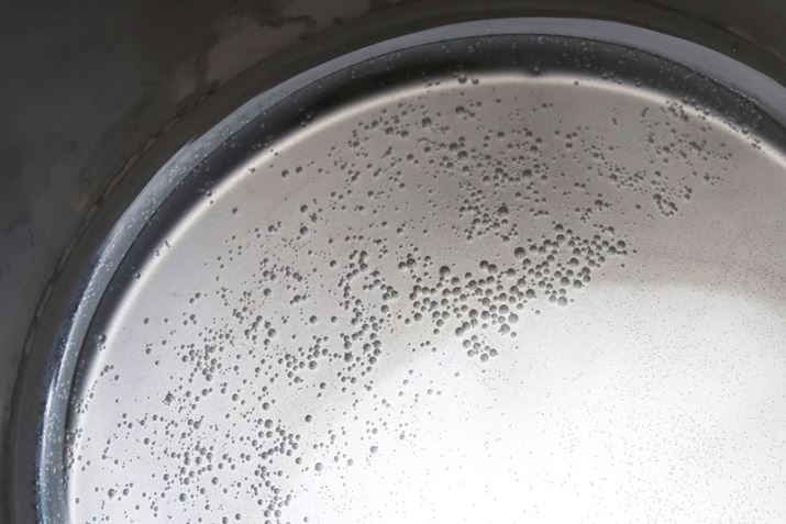 `^fނ͔Mϓɂ܂ɂ߁A΂Ăꏊ畦n܂