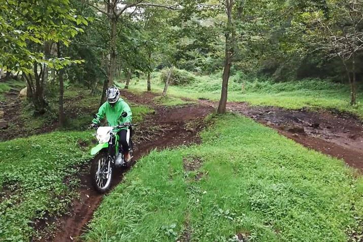 tbgœ₷V[g̃bg⑖₷́AIt[hR[XłςȂ