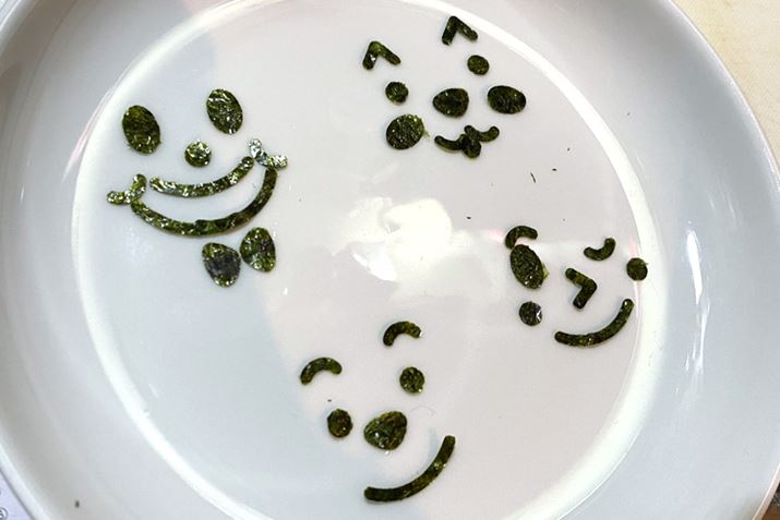 gݍ킹ł낢Ȋ炪ꂿႤ