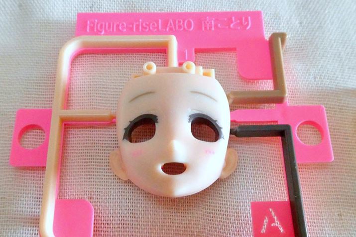 L̖ƂׂtFCXp[cBłɉw̃C[ɂ萬`Ă܂