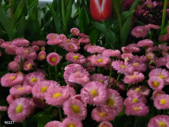 2Ɠ\}]Jɐ؂ւĎBeBsg͍Ă̂AfBe[nbLȂ