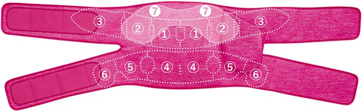 14̃GA[obÓÂ悤ɔzuBi7jdɔzuĂGA[obOł