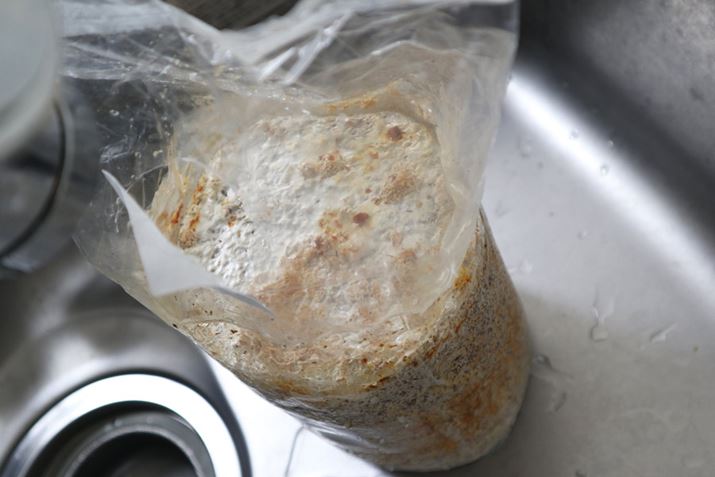 GMƂȂ߂́A܂̏㕔琅𒍂cc