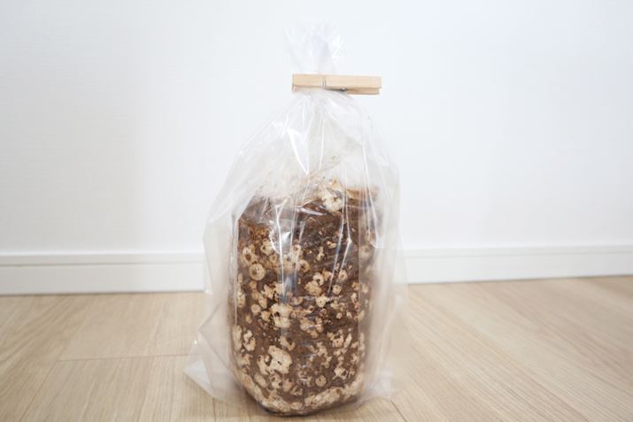 ̓ubN𐅐􂢌At̓yA܂̏㕔ӂƕ܂