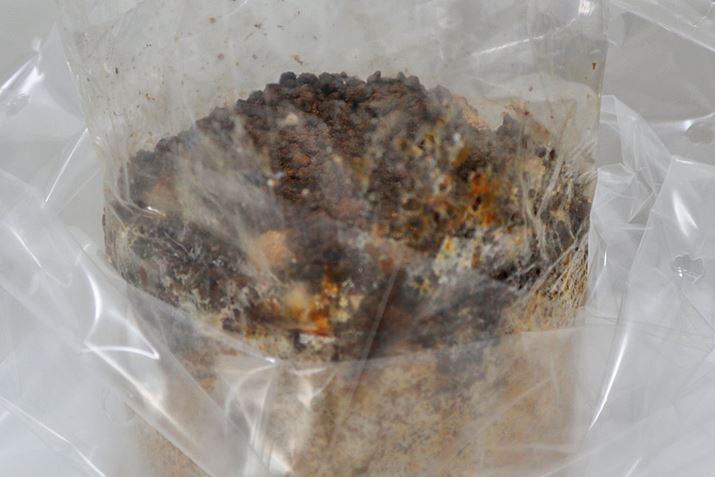 Ȃ߂́ccȂBς莸ŝ낤cc