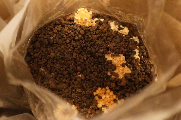 琬Jn27ځÂĂĂƂY邱AȂ߂炵̂ccI