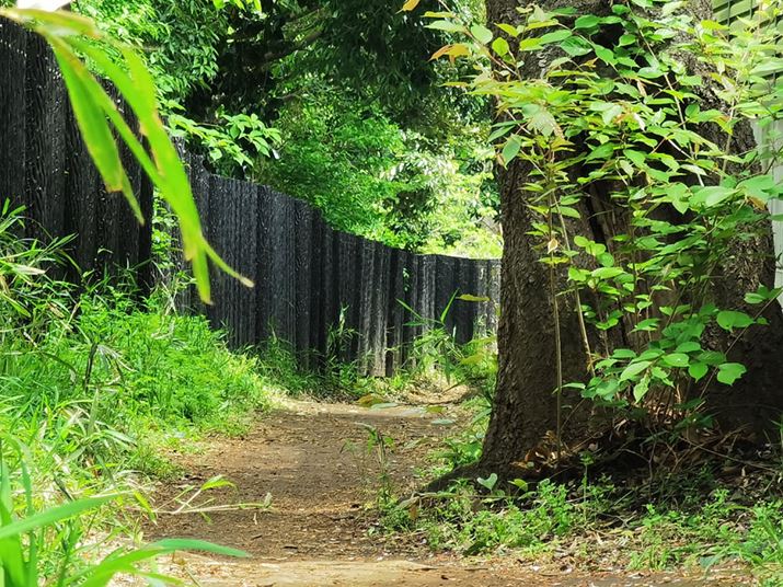 ���w�Y�[��5�{�ň��k���ʂ�_�����ʐ^�B�u�}�X�^�[AI�v�̌��ʂɂ��A�V�΂�����w�ۗ����Ă���