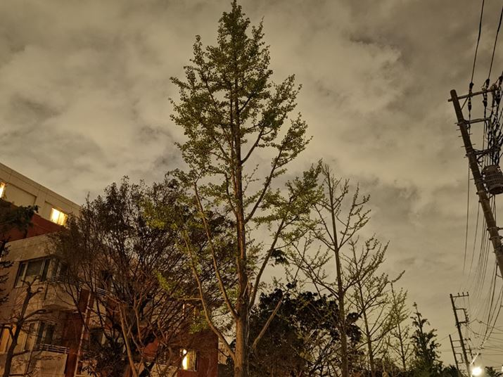 ��L�̎ʐ^���班�������ɋ߂Â��ƁA�S�̂̐F�������F���ۂ��Ȃ���