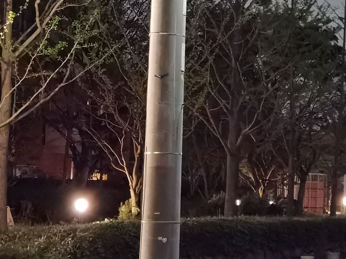 ����͖�i���[�h���I���A���w�Y�[��5�{�ŎB�e�����ʐ^�B�X�}�[�g�t�H���̖]���J�����Ƃ��Ă͔��ɑN��