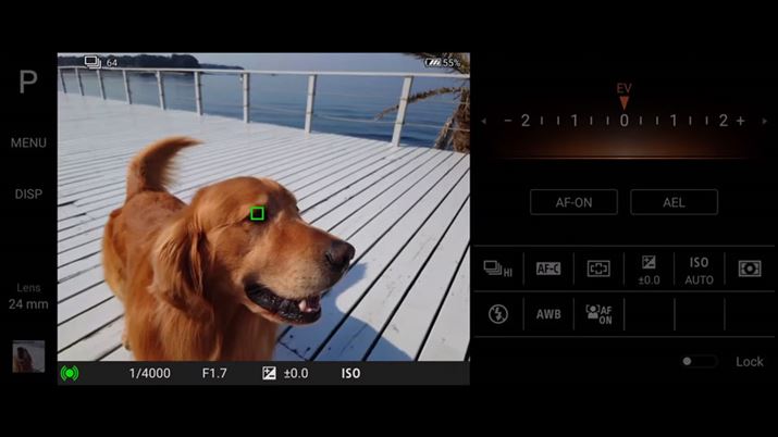 lł͂Ȃybg̓F\ƂȂuA^CAFvuPhotography Provɓڂ