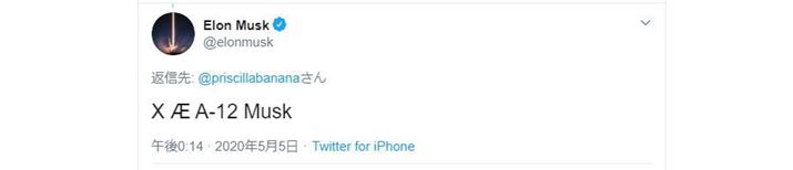 C[E}XNqǂ̖O͢X &#198;  A-12 Musk