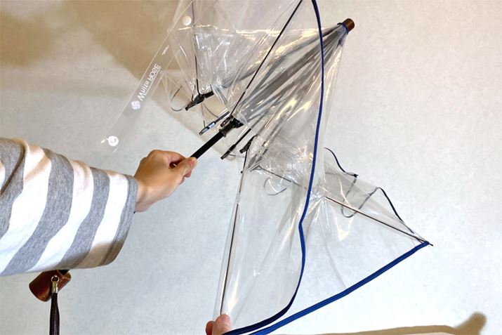 P̊J́ANVbNȎJB1{|L|LĊJ܂