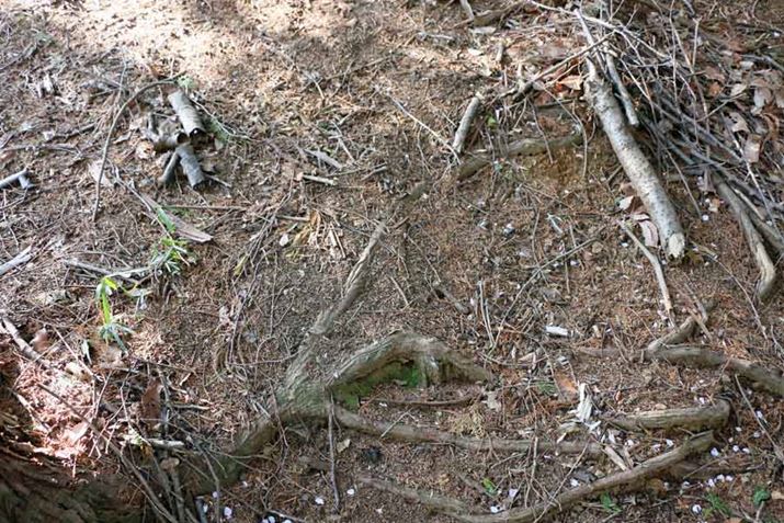 xo~HʂA@ꂽ`ՂȂȑOɃ^C̐ՂȂقǂ