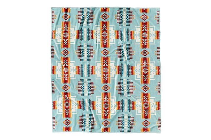 lCeBuAJ́AyhgȂł́Bʐ^͓`̕𓥏Pu`[tWZtANAv