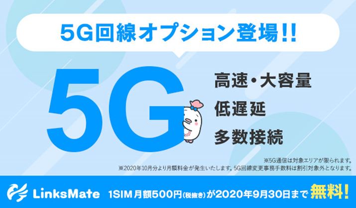 iSIMƂĂ͍5GT[rXp̃IvVƂȂ