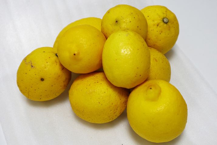 1swƂA召̃9͂܂i傫͒ƂɃo܂j